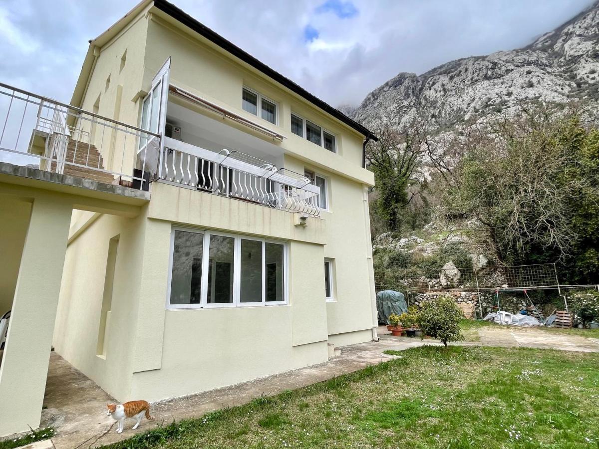 Apartments Lav Kotor Bagian luar foto