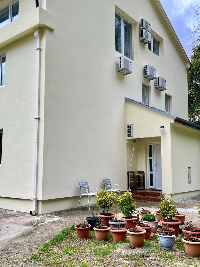 Apartments Lav Kotor Bagian luar foto