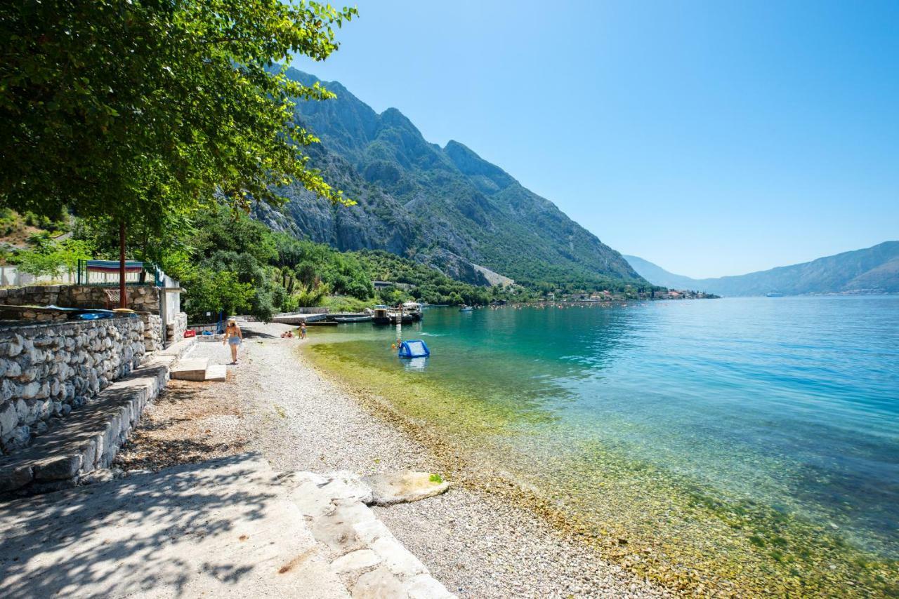 Apartments Lav Kotor Bagian luar foto